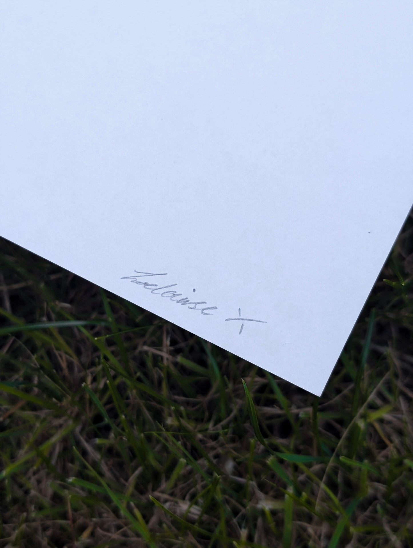 A4 Original Cherry Blossom Pencil Drawing