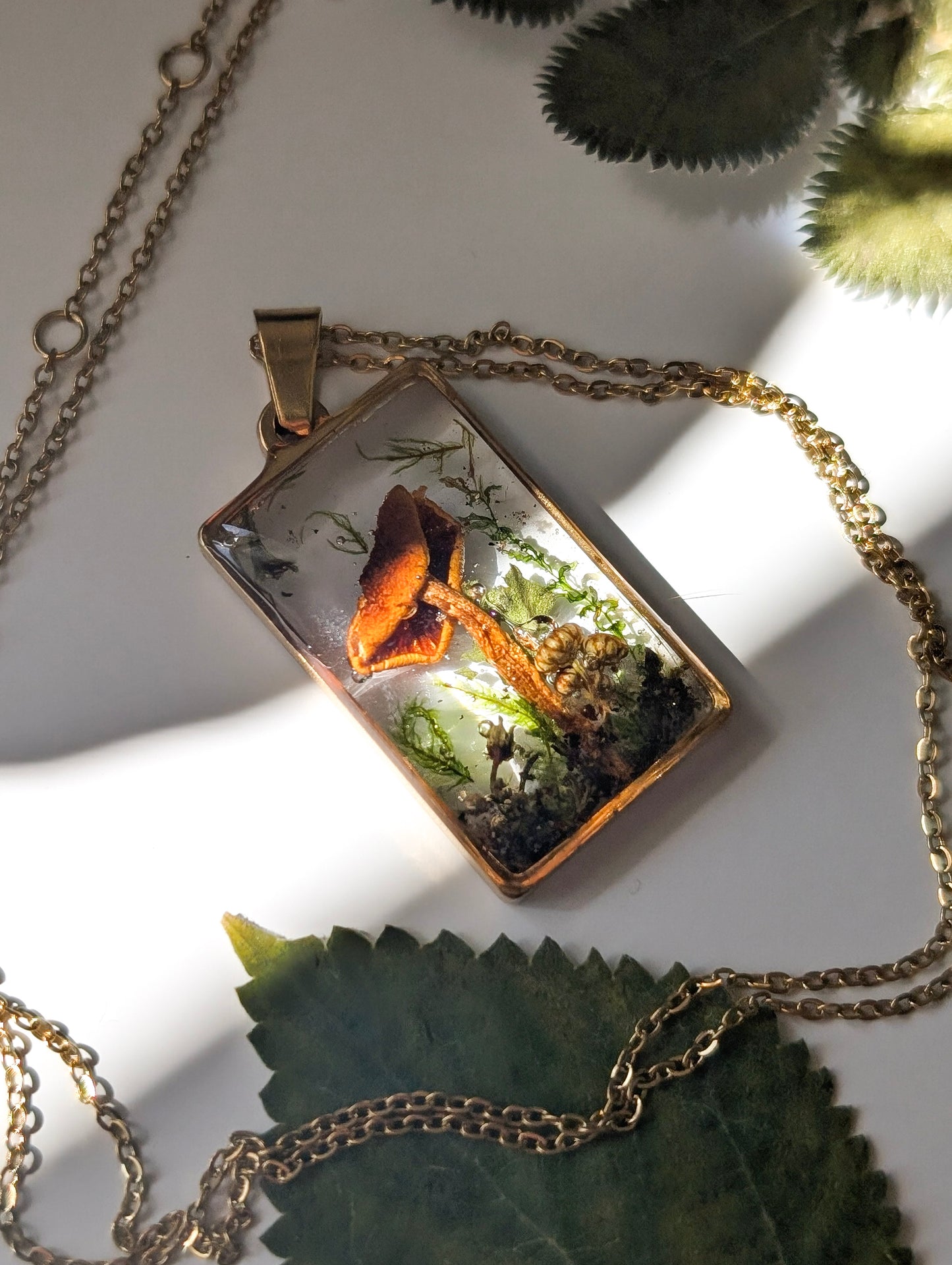 'Honeylight Hollow' Real Mushroom Resin Stainless Steel Necklace