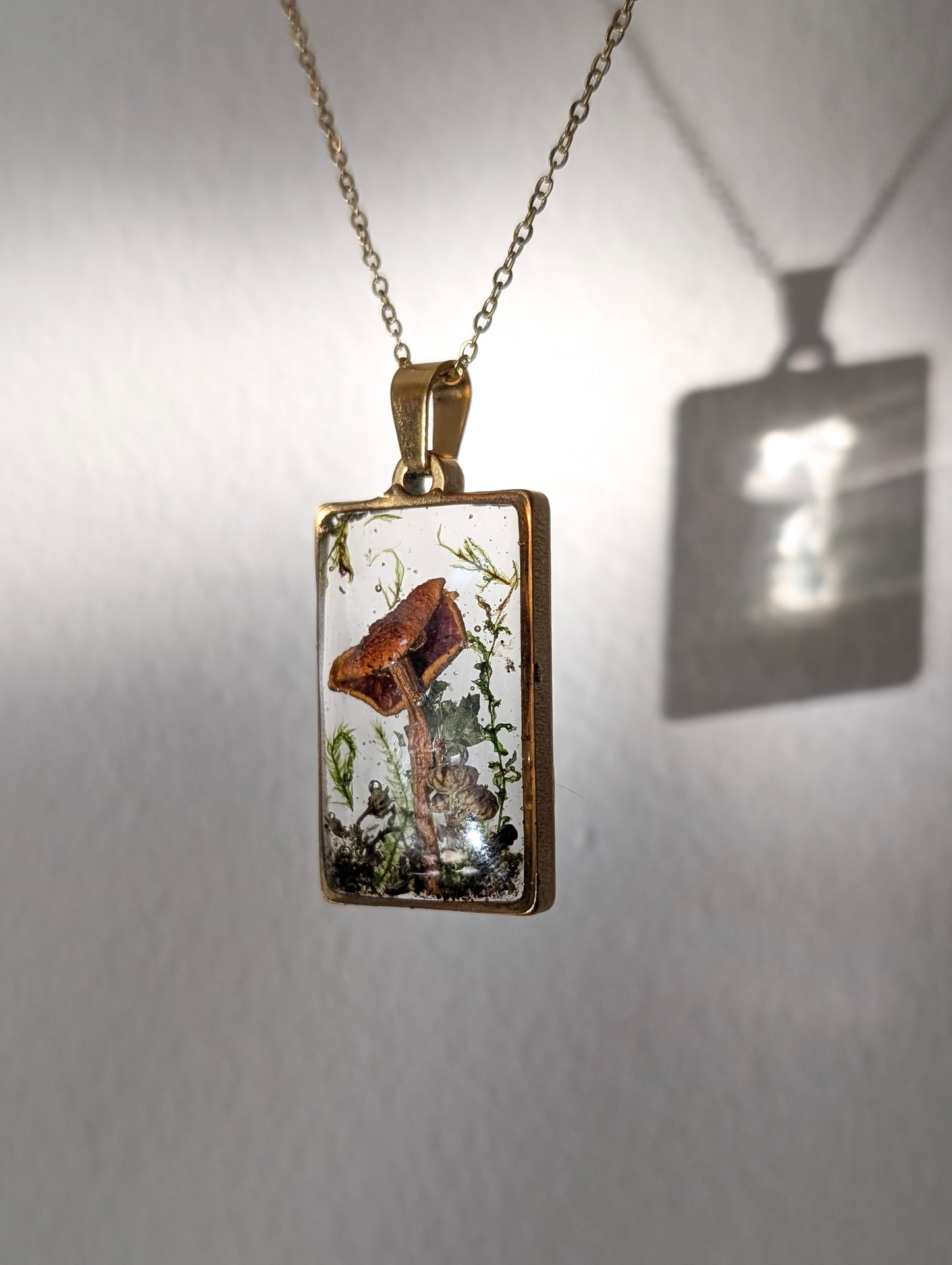 'Honeylight Hollow' Real Mushroom Resin Stainless Steel Necklace