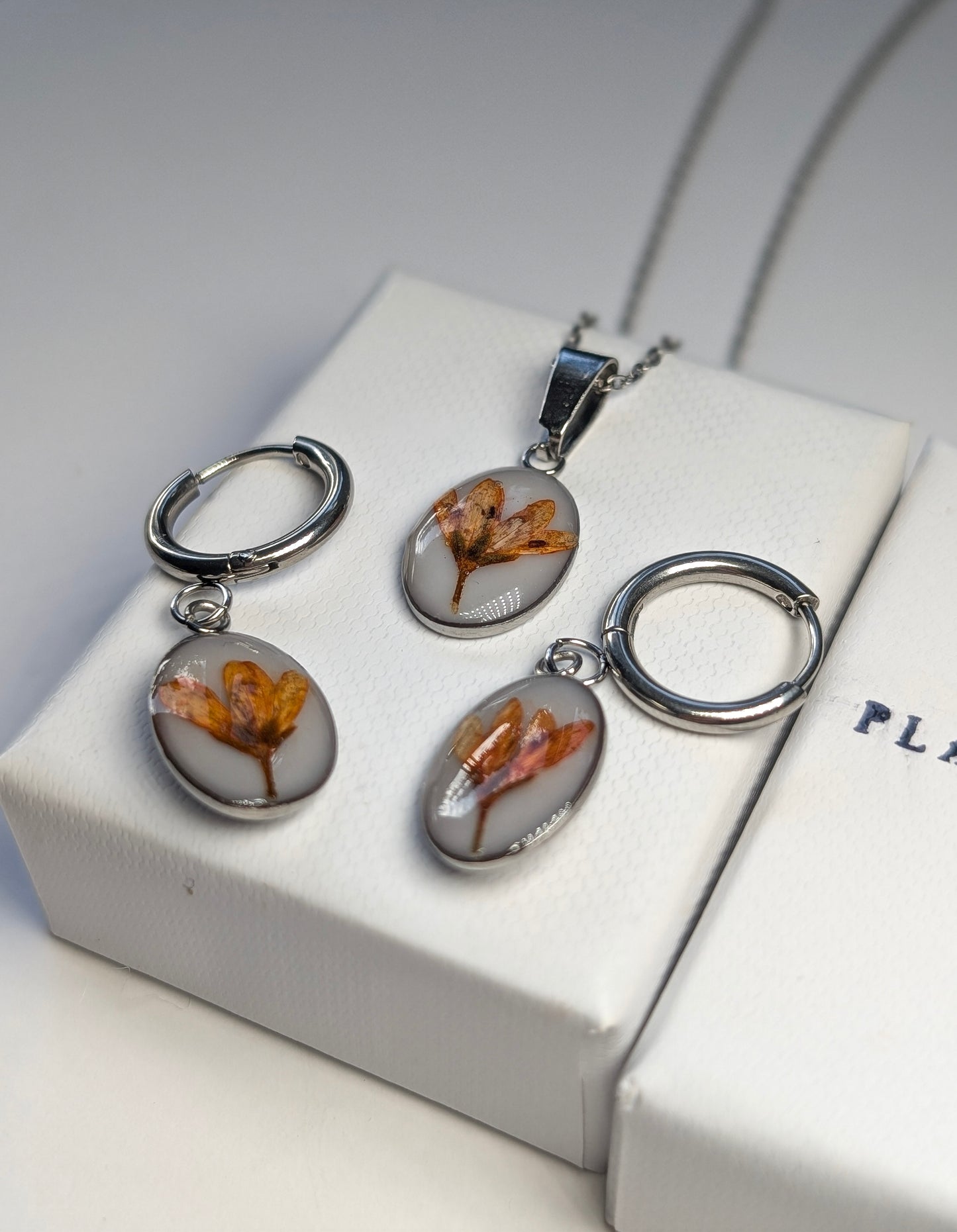 Orange Chloris Virgata Pressed Flora | Stainless Steel Hoop Earrings