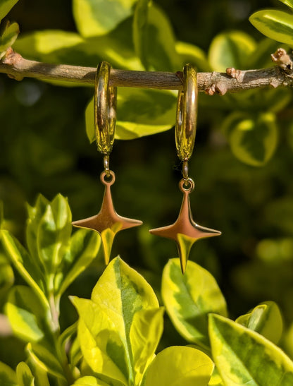 Gold Star Hoop Earrings