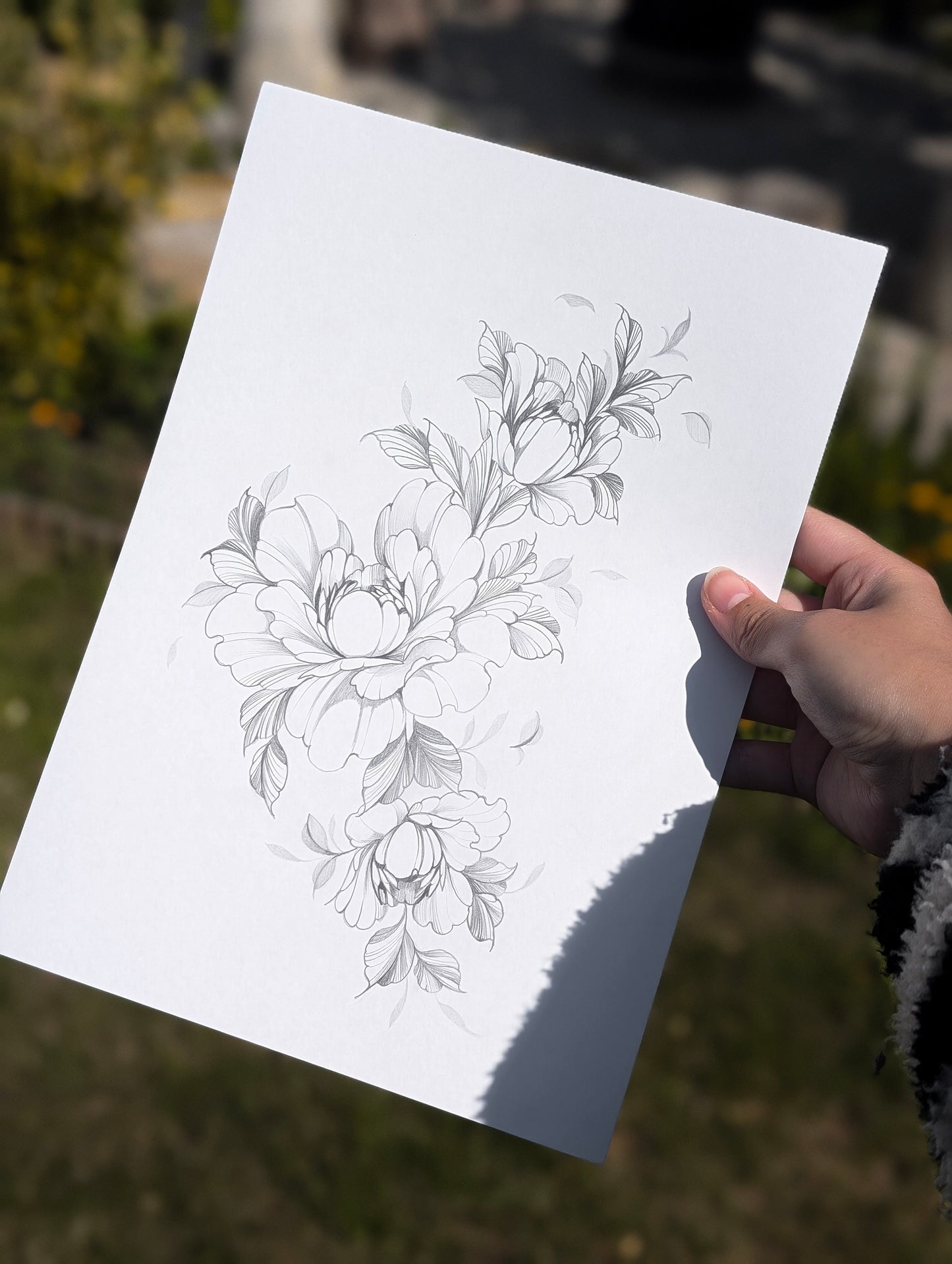 A4 Original Peonies Pencil Drawing