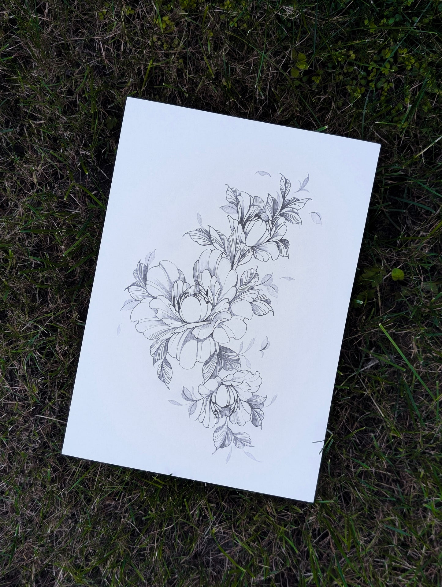 A4 Original Peonies Pencil Drawing