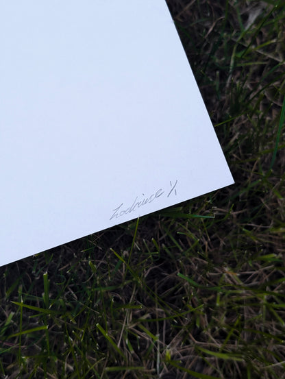 A4 Original Peonies Pencil Drawing