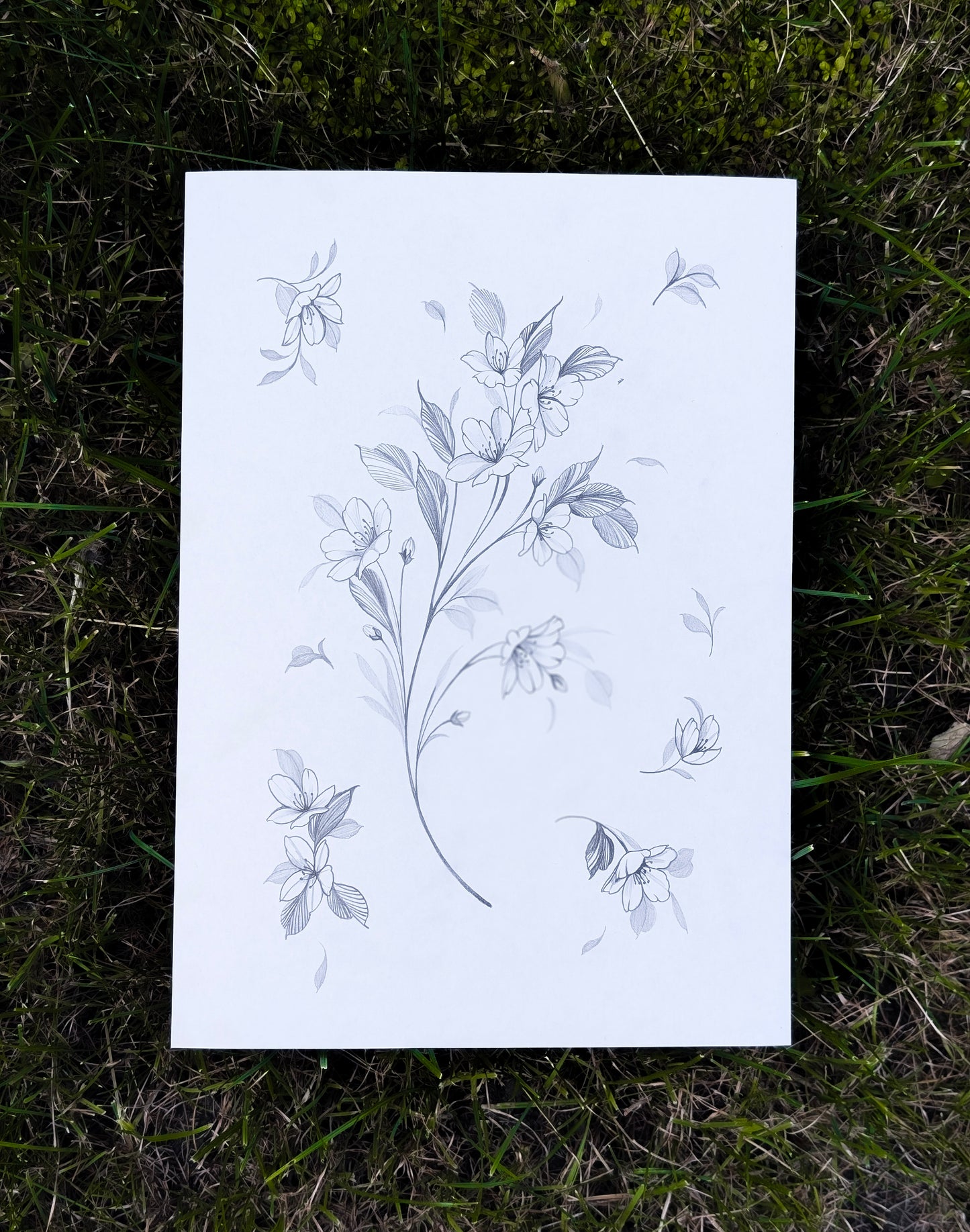 A4 Original Cherry Blossom Pencil Drawing