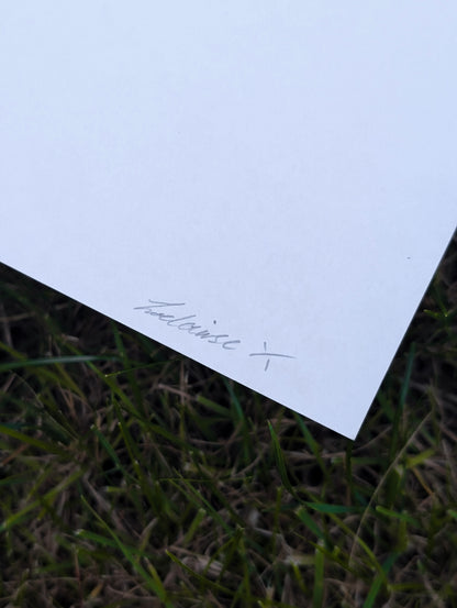 A4 Original Cherry Blossom Pencil Drawing