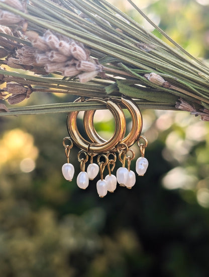 Fresh Water Pearls | Hoop Earrings