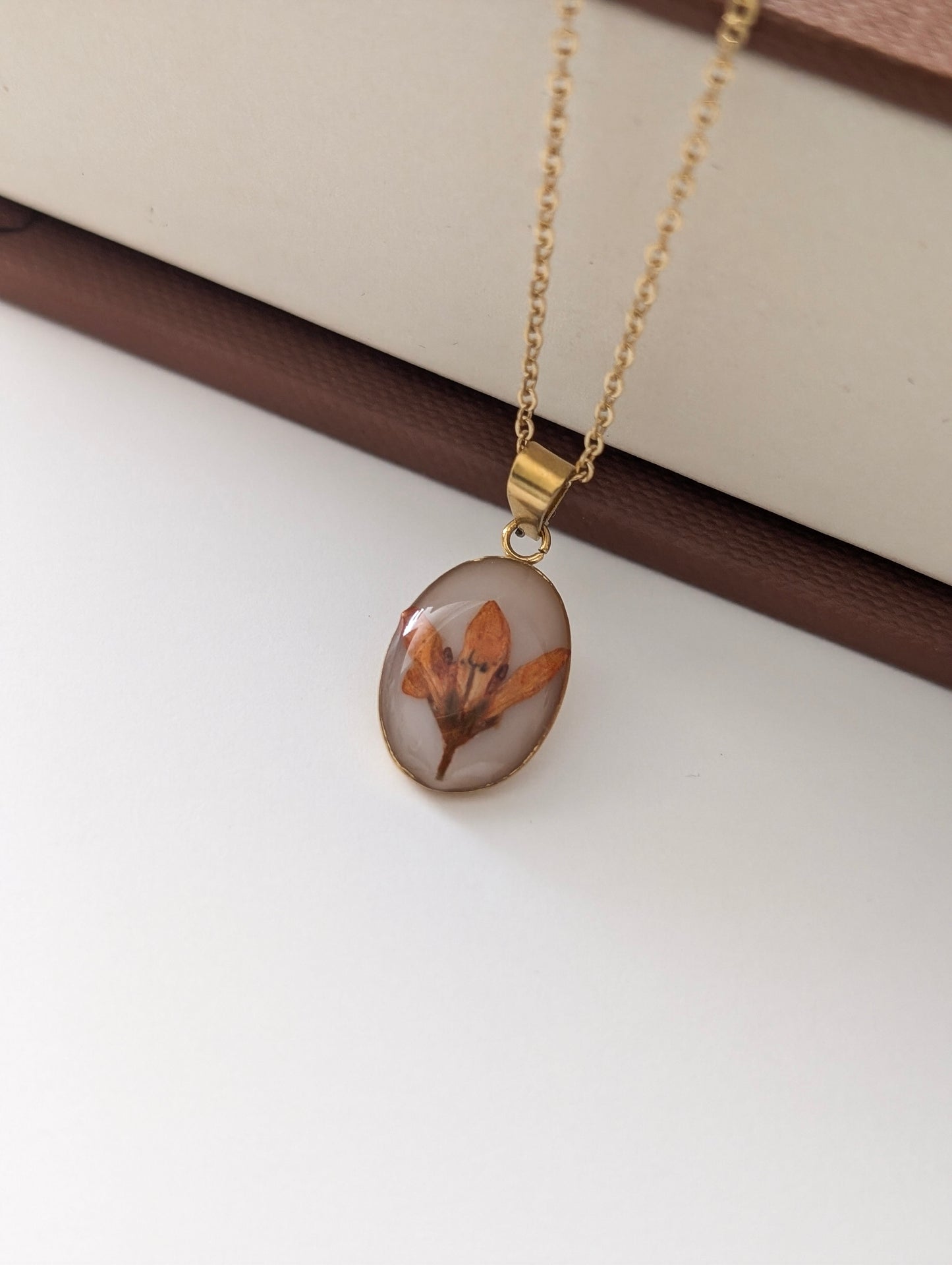 Orange Chloris Virgata Pressed Flora Bow Jewellery Set | Gold Plated Stainless Steel