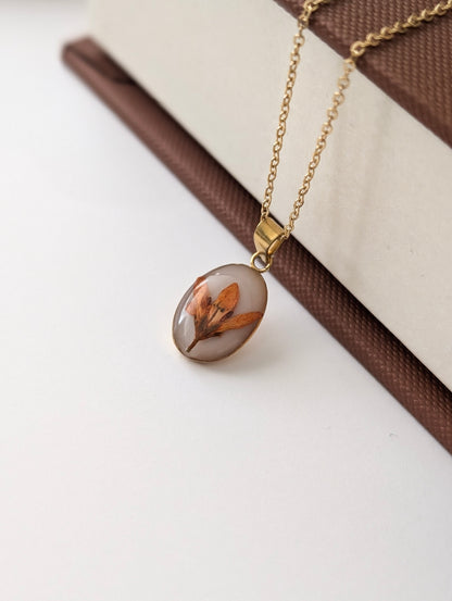 Orange Chloris Virgata Pressed Flora Jewellery Set | Gold Plated Stainless Steel