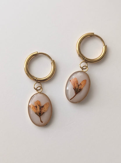 Orange Chloris Virgata Pressed Flora Jewellery Set | Gold Plated Stainless Steel