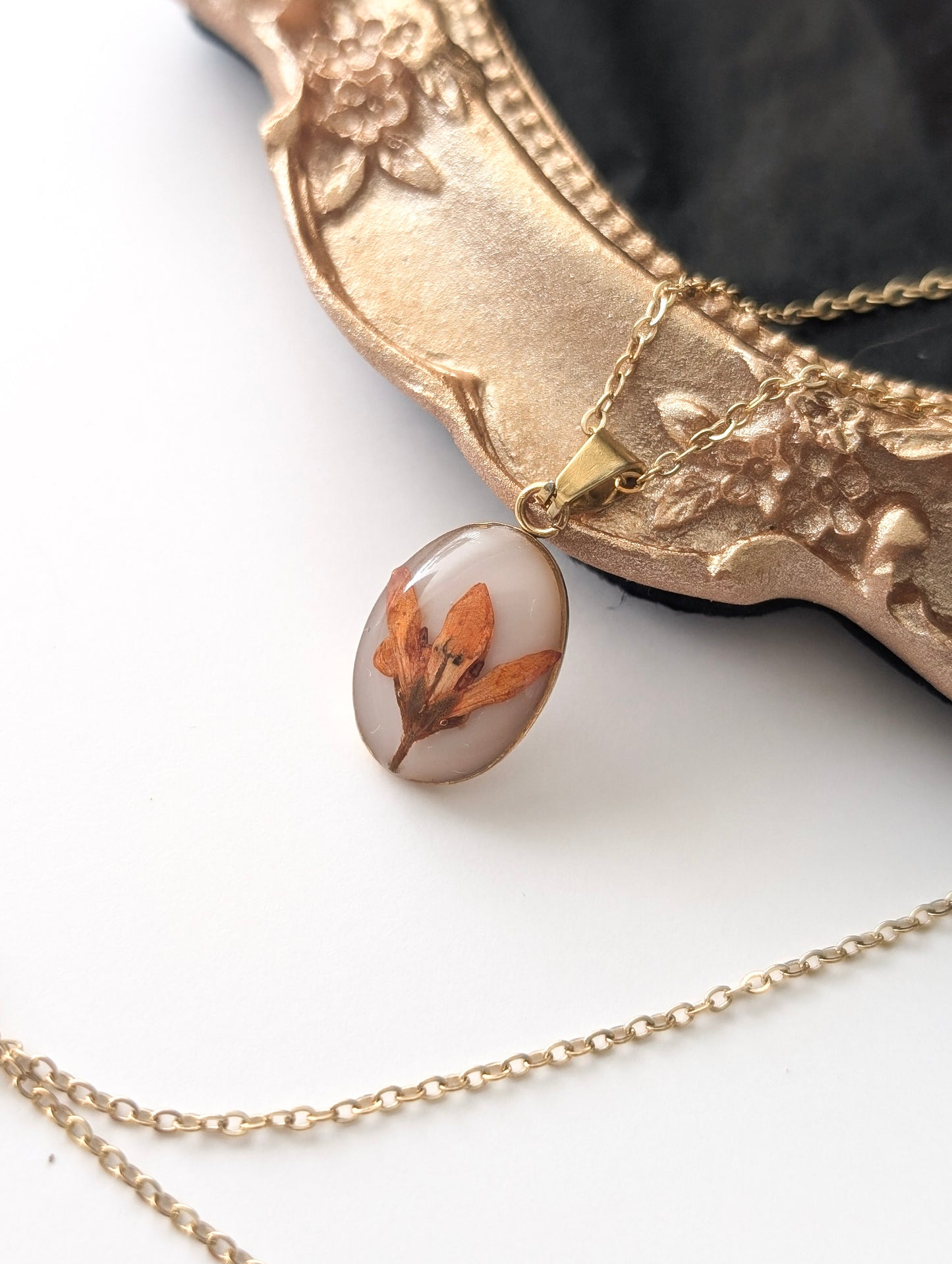 Orange Chloris Virgata Pressed Flora Jewellery Set | Gold Plated Stainless Steel
