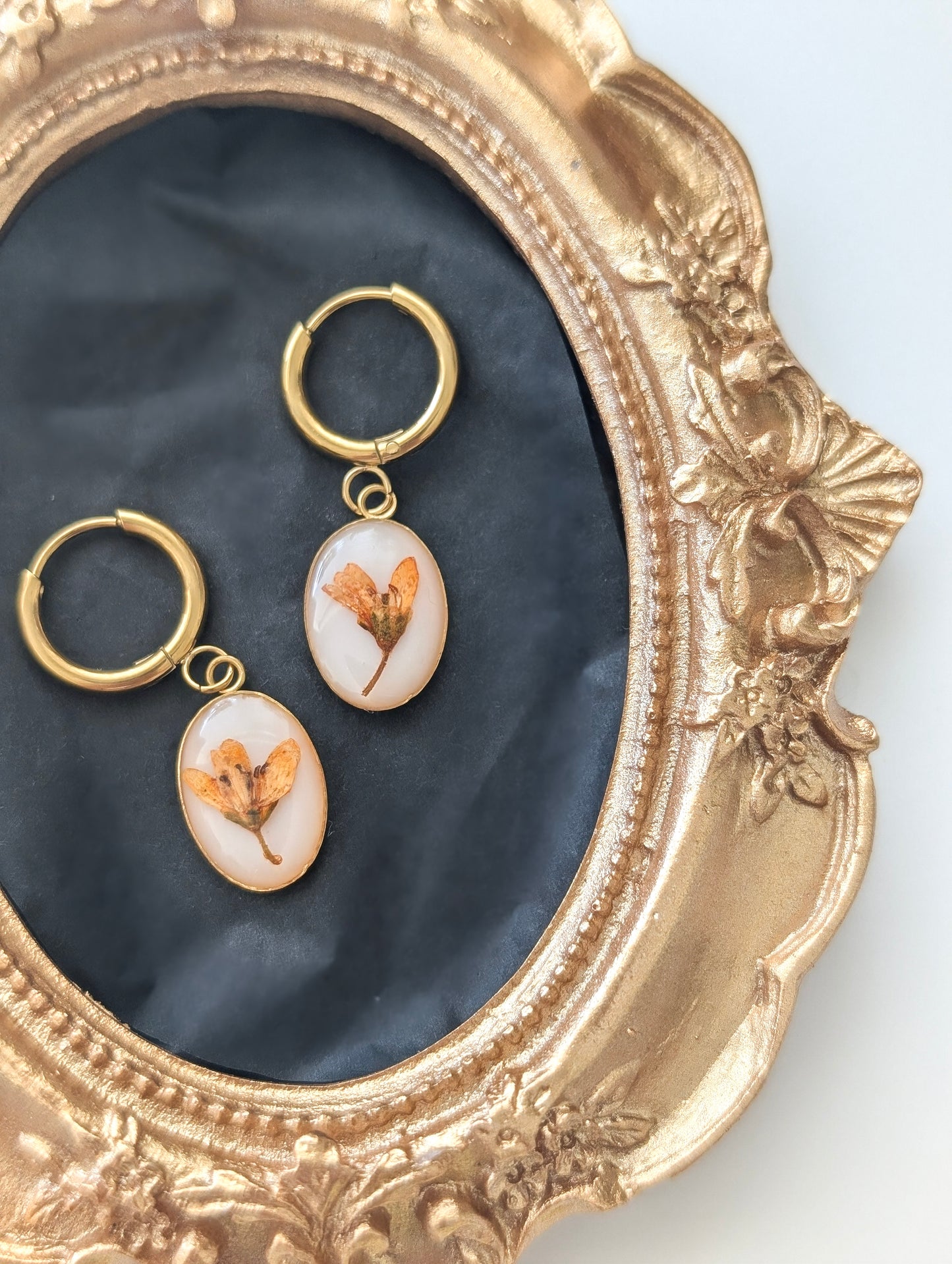 Orange Chloris Virgata Pressed Flora  | Gold Plated Stainless Steel Hoop Earrings