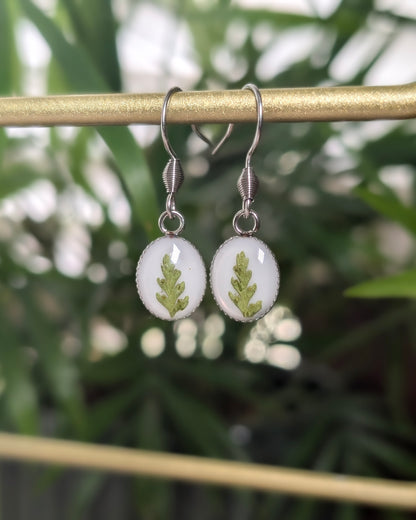 Oval Fern Leaf |  Stainless Steel French Hook Earrings