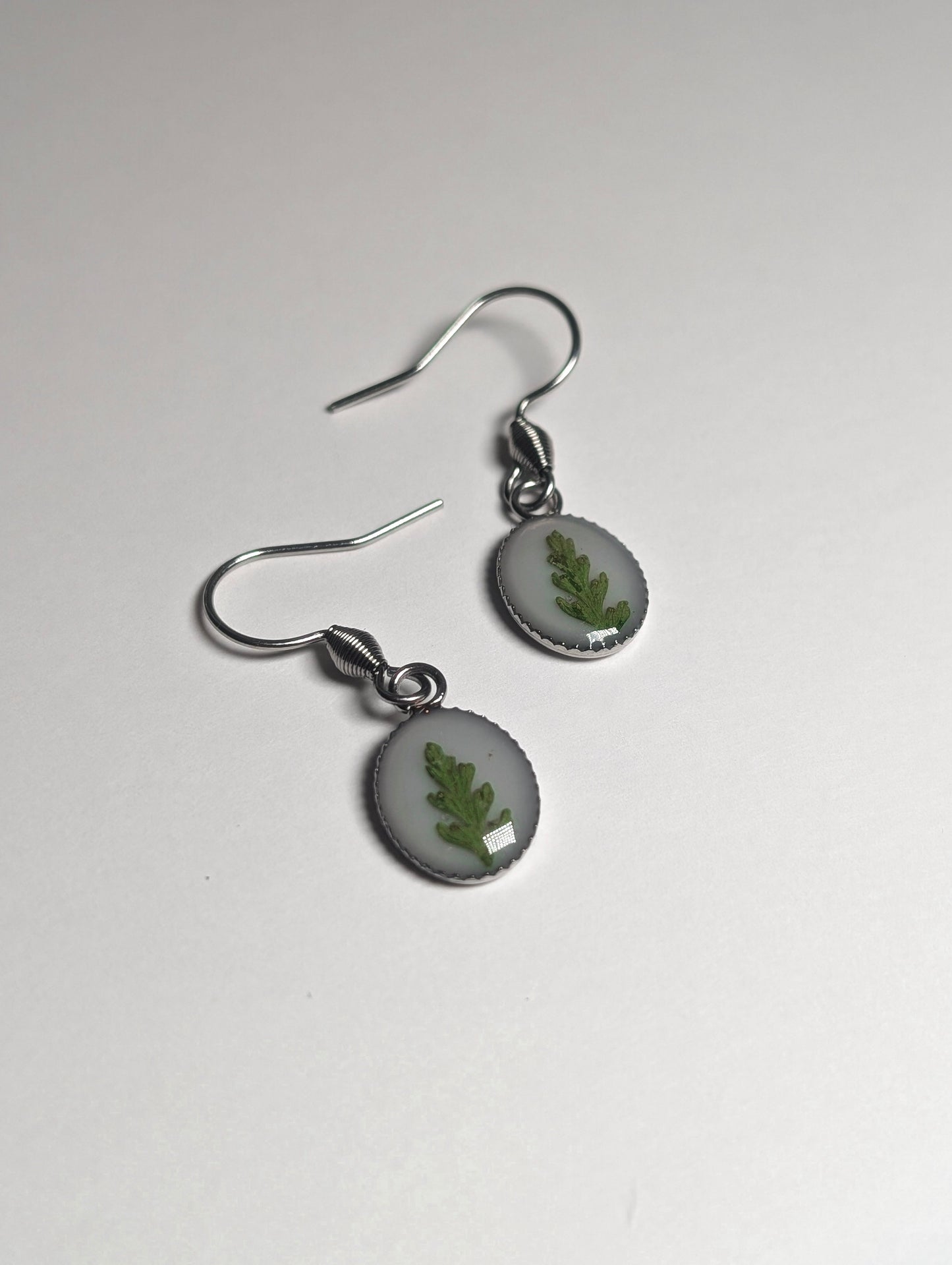 Oval Fern Leaf |  Stainless Steel French Hook Earrings