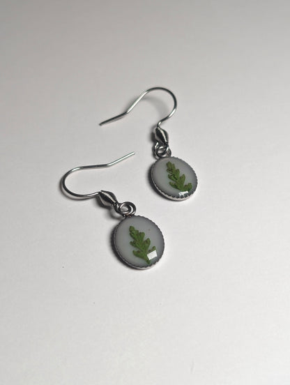 Oval Fern Leaf |  Stainless Steel French Hook Earrings