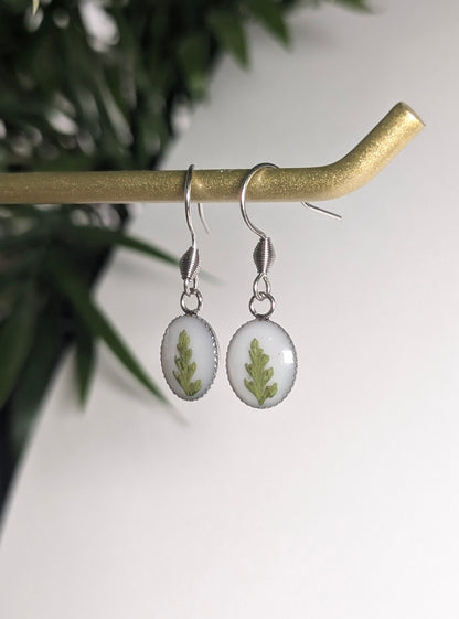 Oval Fern Leaf |  Stainless Steel French Hook Earrings