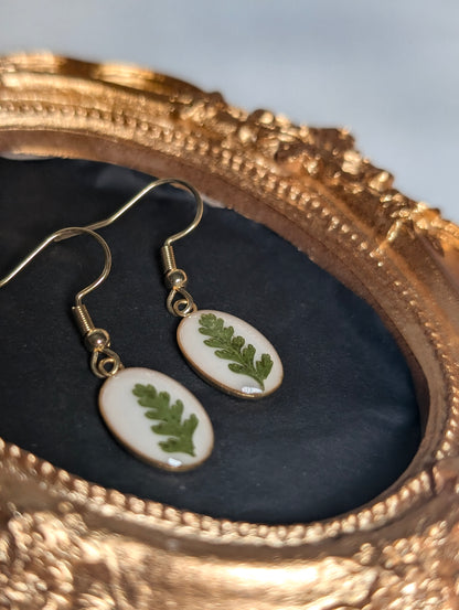 Oval Fern Leaf | Gold Plated Stainless Steel French Hook Earrings
