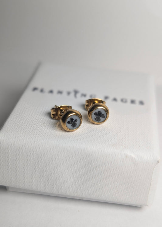 Ebony & Ivory | Small Gold Plated Stainless Steel Stud Earrings