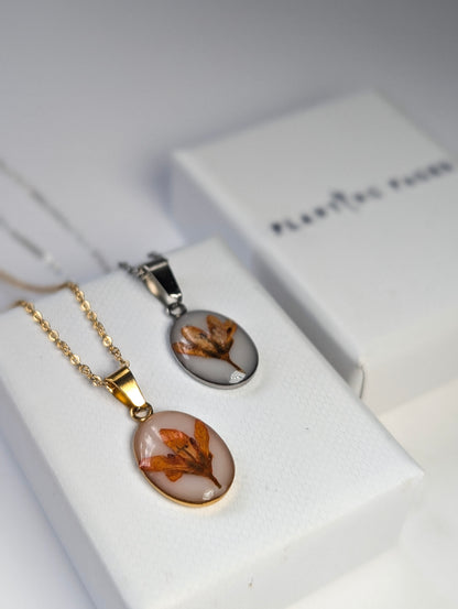 Orange Chloris Virgata Pressed Flora  | Oval Stainless Steel Necklace