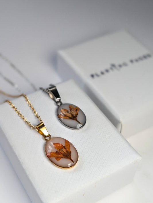 Orange Chloris Virgata Pressed Flora  | Oval Stainless Steel Necklace