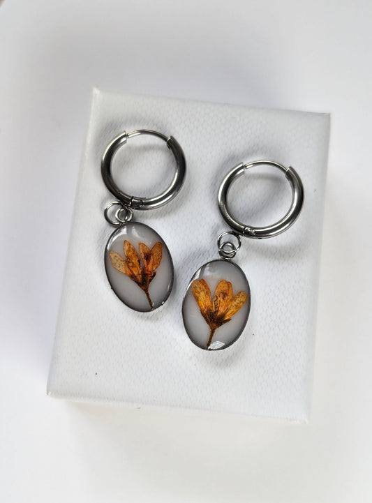Orange Chloris Virgata Pressed Flora  | Stainless Steel Hoop Earrings