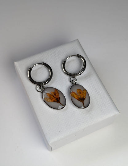 Orange Chloris Virgata Pressed Flora  | Stainless Steel Hoop Earrings