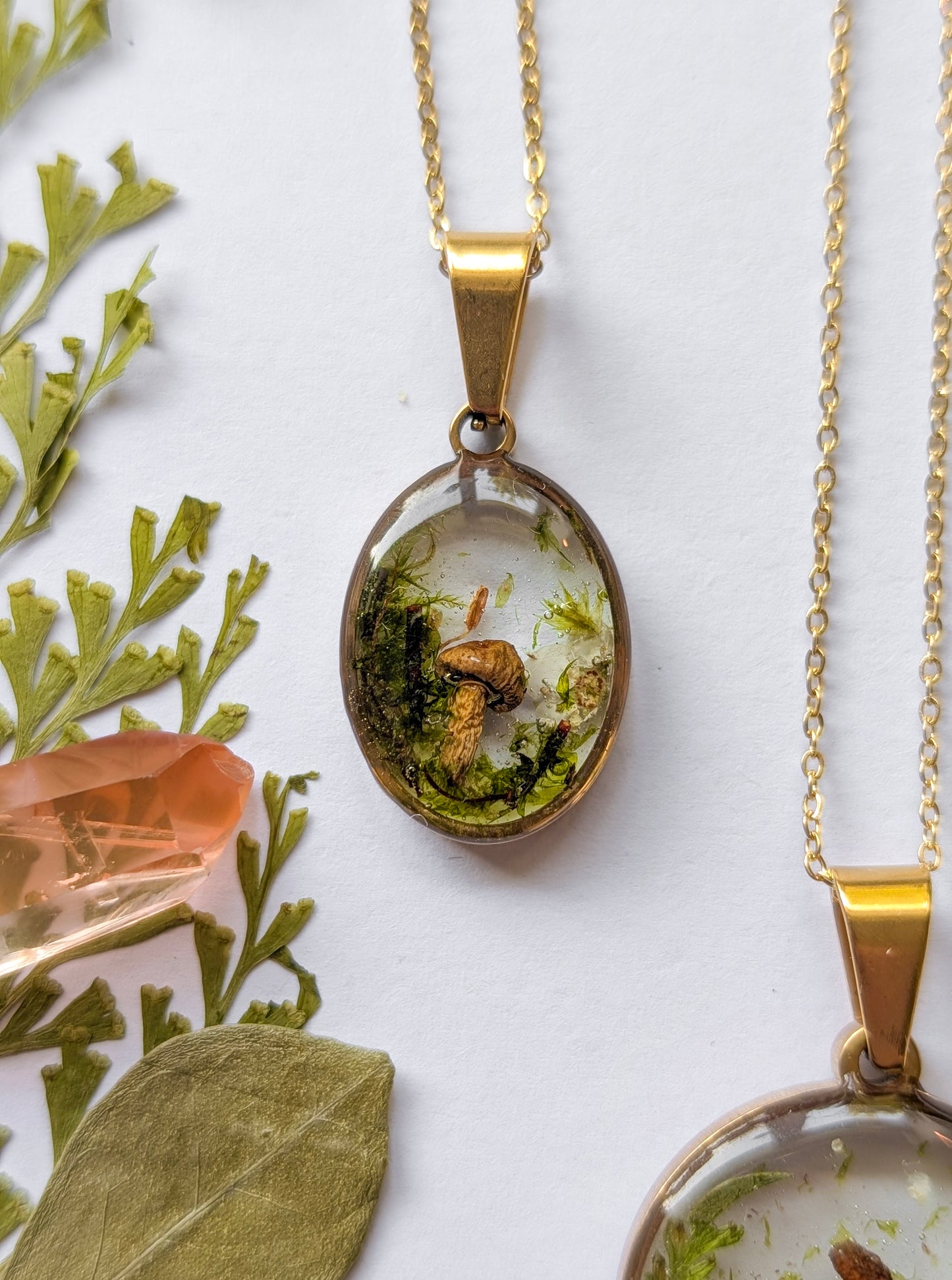 'The Toadstool’s Keep' - Real Mushroom & Botanical Necklace