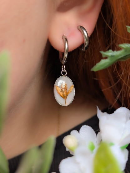 Orange Chloris Virgata Pressed Flora  | Stainless Steel Hoop Earrings