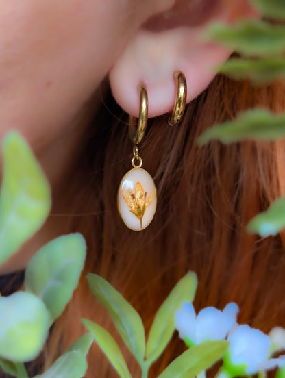 Orange Chloris Virgata Pressed Flora  | Gold Plated Stainless Steel Hoop Earrings