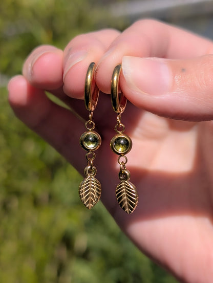Peridot Garden | Gold Plated Stainless Steel Hoop Earrings