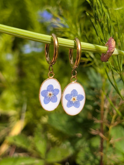 Oval Forget Me Not | Gold Plated Stainless Steel Hoop Earrings