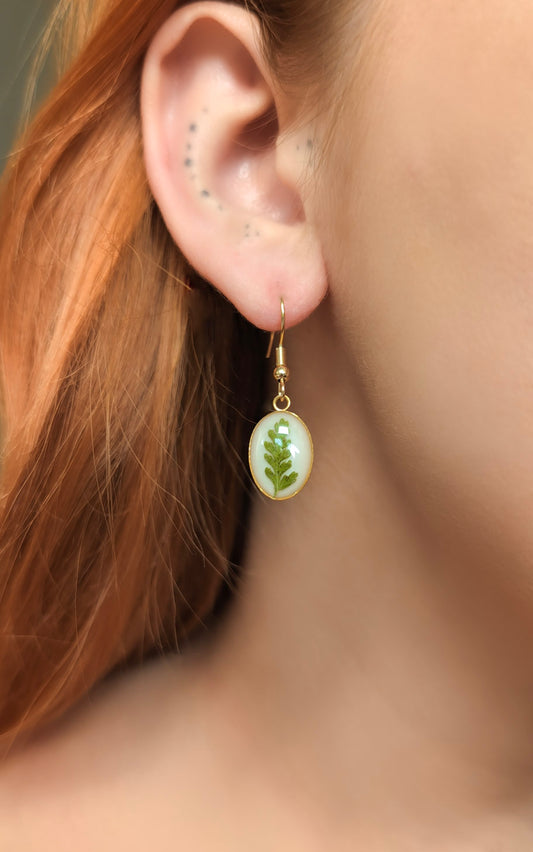 Oval Fern Leaf | Gold Plated Stainless Steel French Hook Earrings