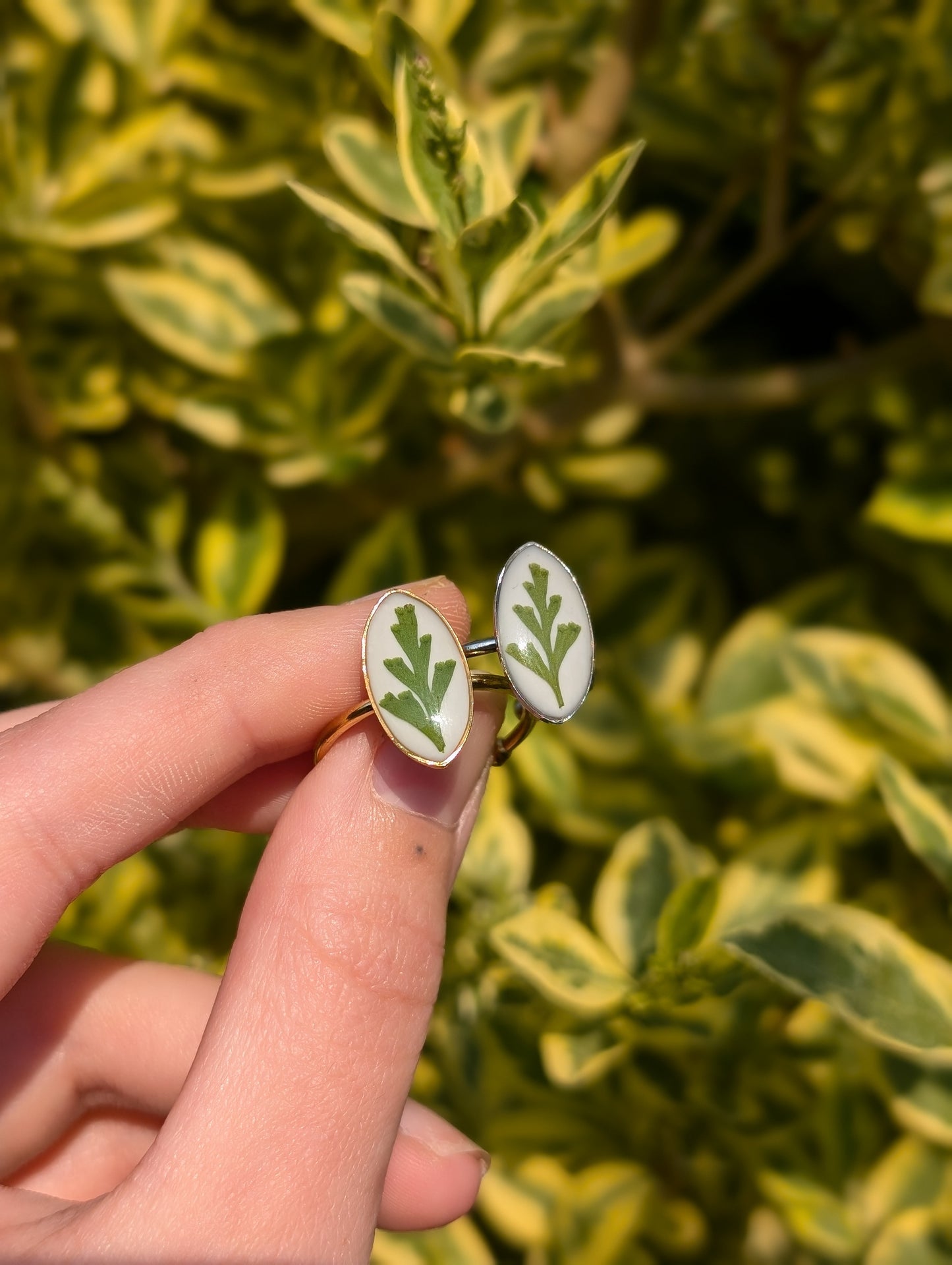 White Fern Adjustable Ring